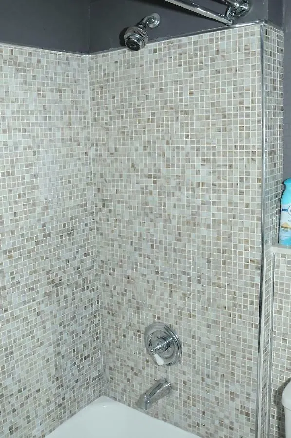 Daire Plush Spacious 1 Bedroom Apt Williamsburg New York ABD